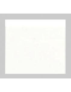 Peinture Blanc brillant