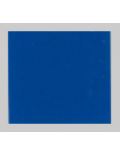 Peinture Bleu Leyland