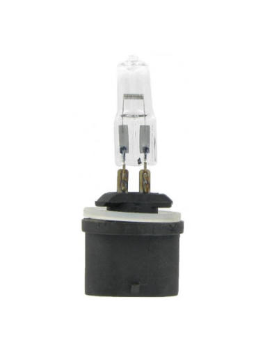 Ampoule 12V 50W droite