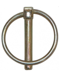 Goupille clips Std (Blister x 10)