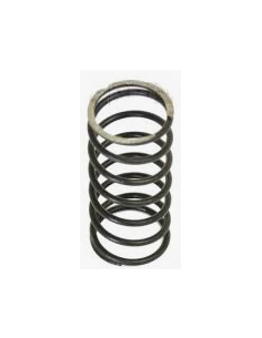 Ressort de soupape intérieur