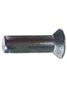 Rivet 6 x 22 mm
