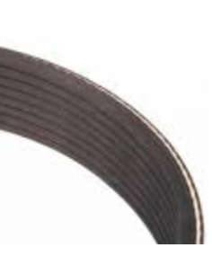 Courroie de ventilateur (avec clim)