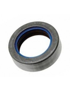 Joint spy coté pont