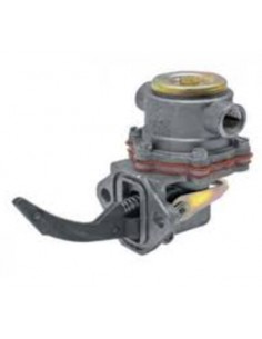 Pompe alimentation Dorado 75