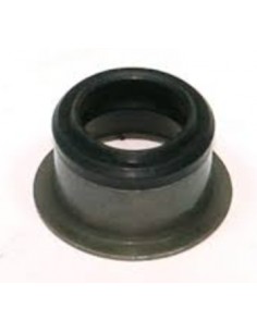 Joint de pompe à eau