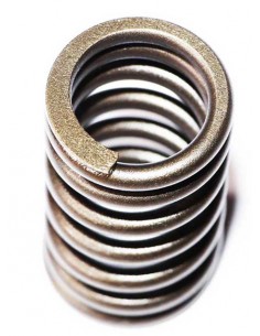 Ressort de soupape (36 PSI)