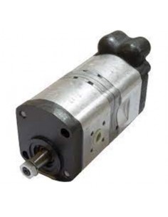 Pompe hydraulique double...