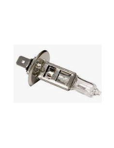 Ampoule halogène H1